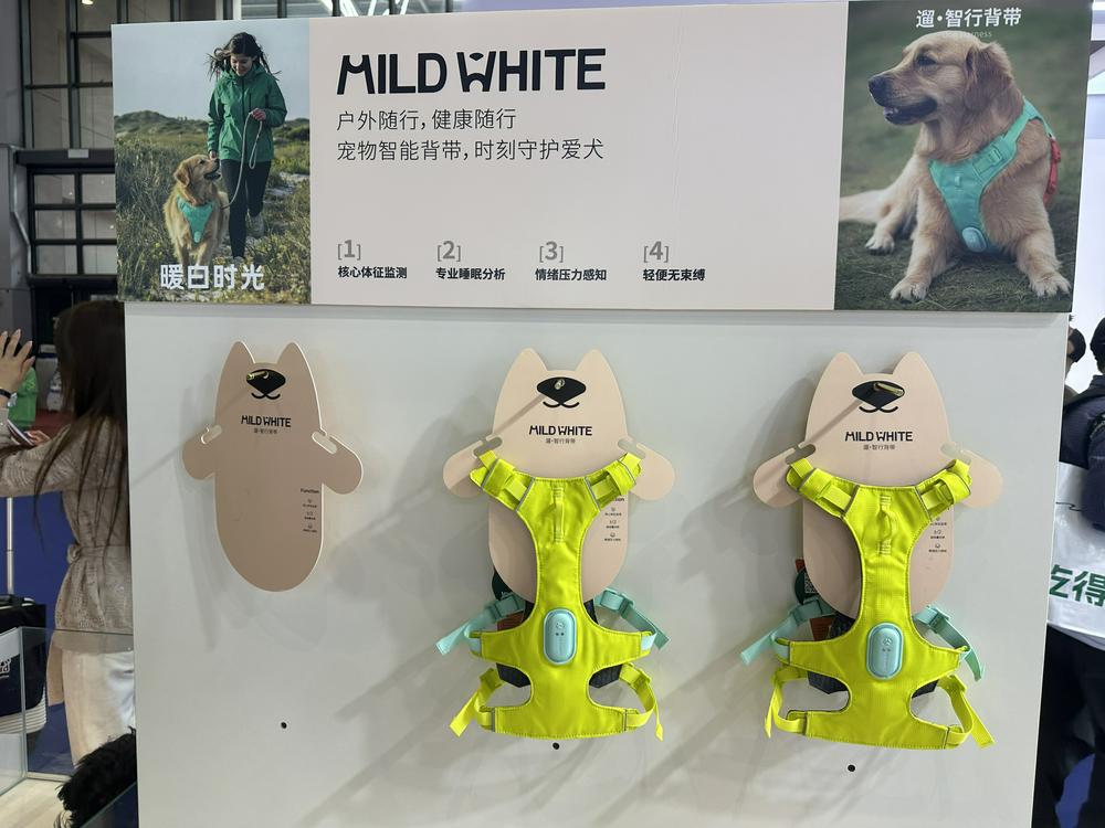 AI宠物硬件集中爆发